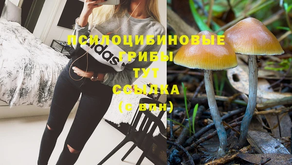 не бодяженный Каменка