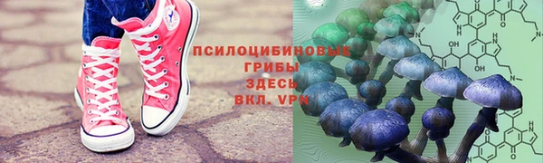 соль ск Каменск-Шахтинский
