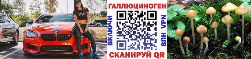 Псилоцибиновые грибы Psilocybe  Усть-Кут 